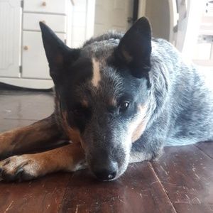 Meet your Posher, Jalynn